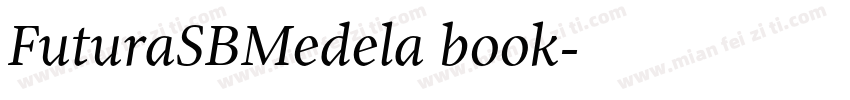 FuturaSBMedela book字体转换